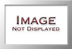 NOS2568